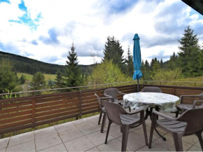 Holiday home in Eibenstock Wildenthal with sauna